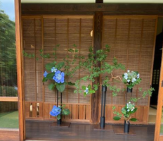 花木園の季節を生けるの画像