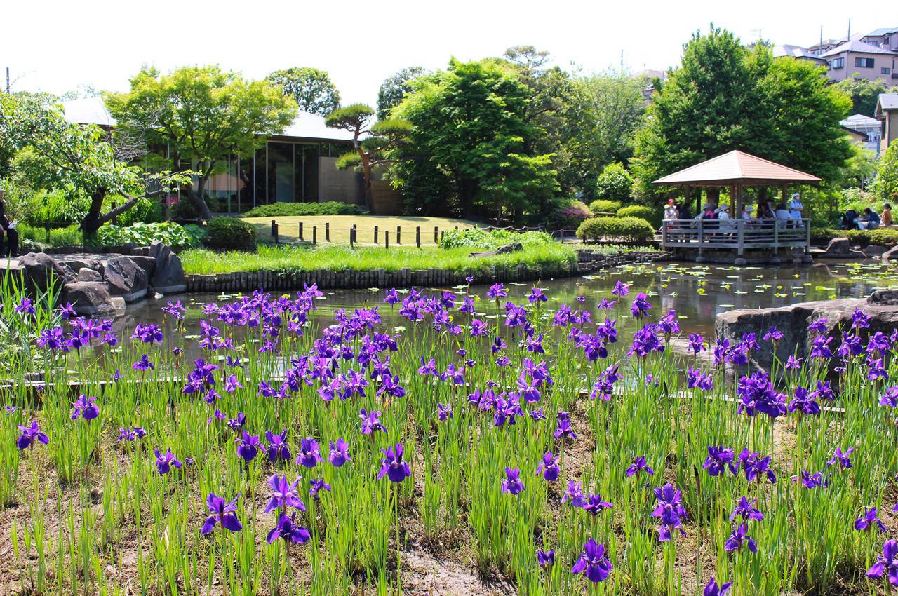 施設概要 About 馬場花木園公式サイト 公益財団法人 横浜市緑の協会