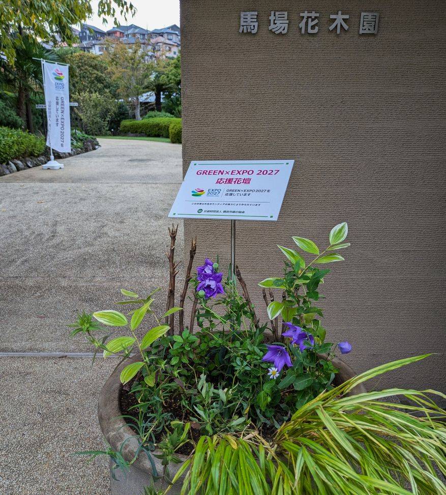 EXPO鉢2.jpg