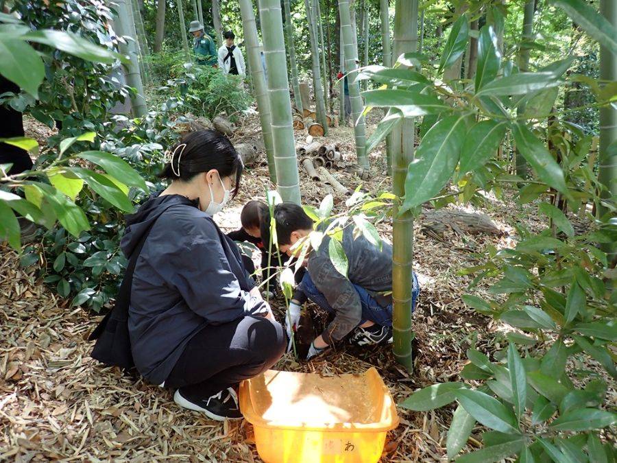 タケノコ (2).jpg