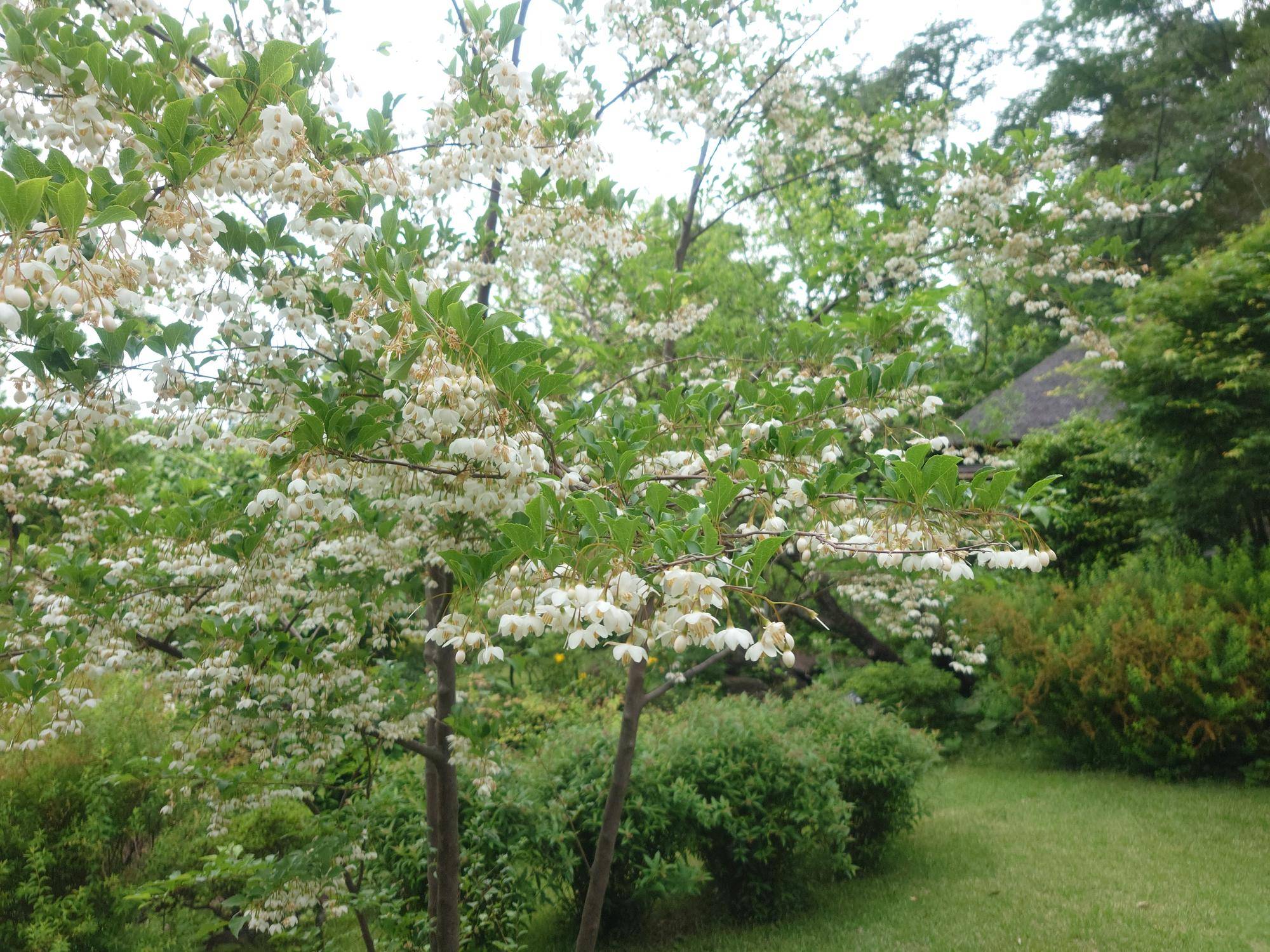 20260506_082812.jpg