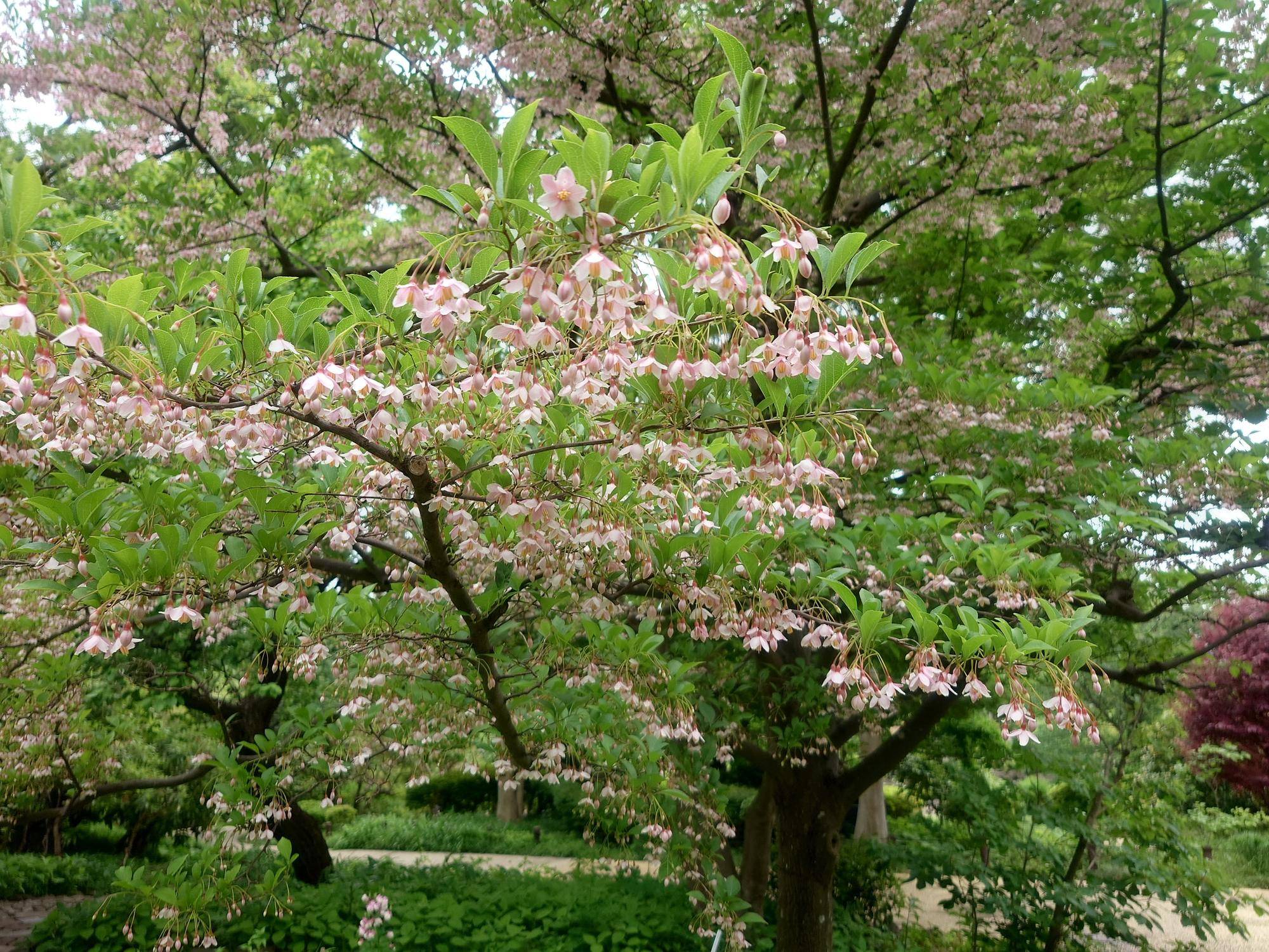 20260506_131542.jpg
