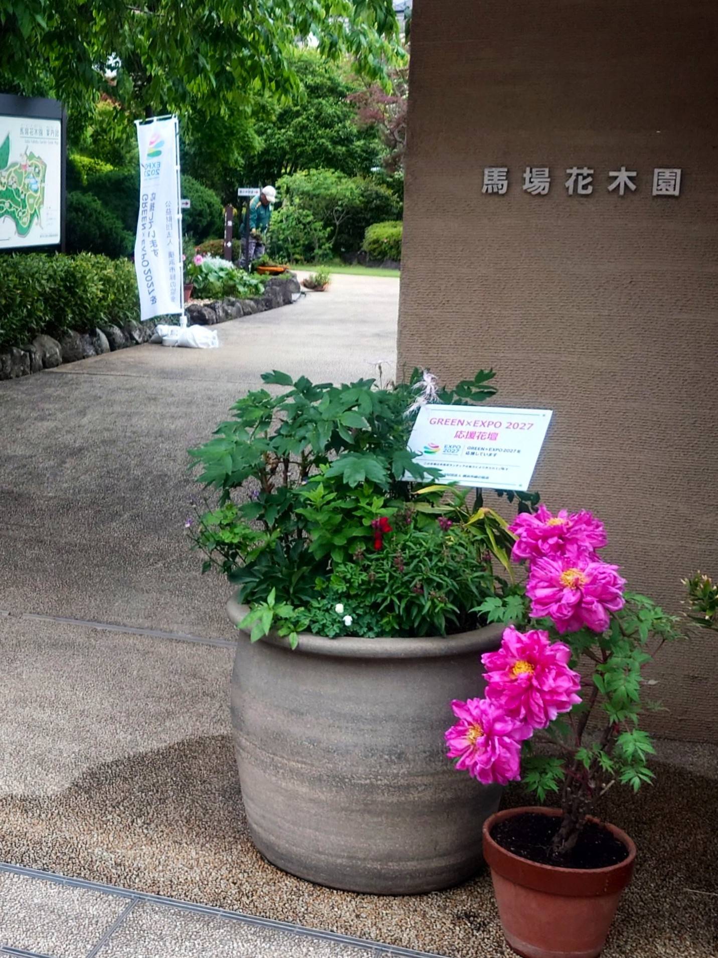 ボタン鉢3.jpg