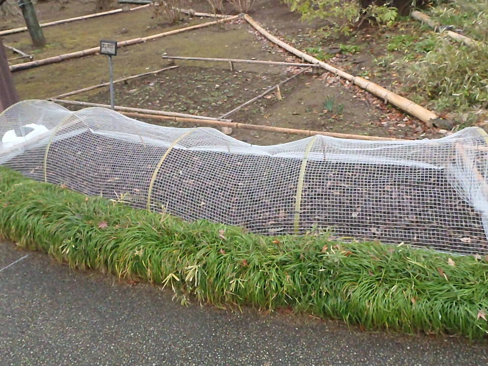 PC230092.jpg