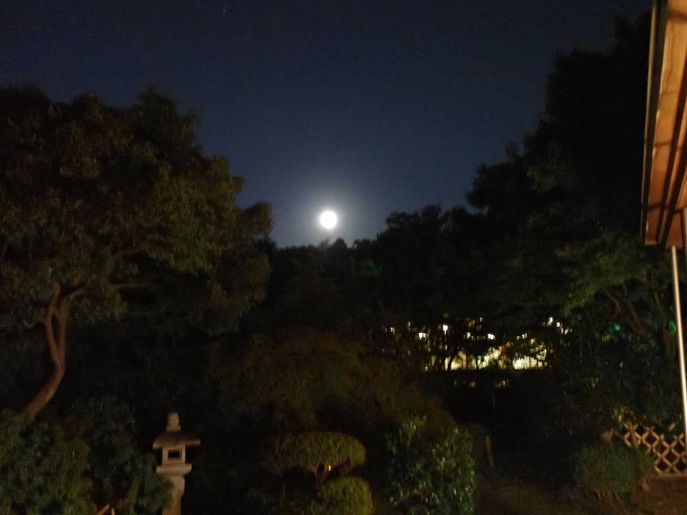 P9300003 - コピー.jpg