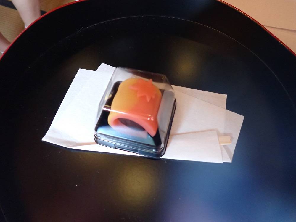 PA140002 - コピー.jpg