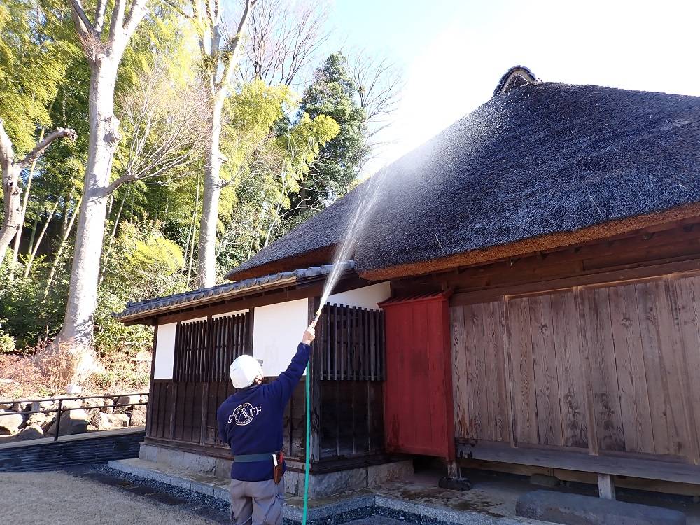 P1260014 - コピー.jpg