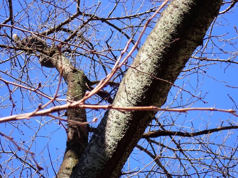 P3030007 - コピー.jpg