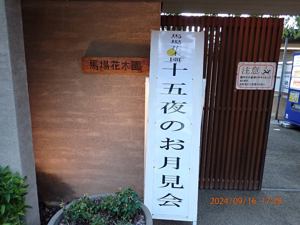 P9160408.jpg