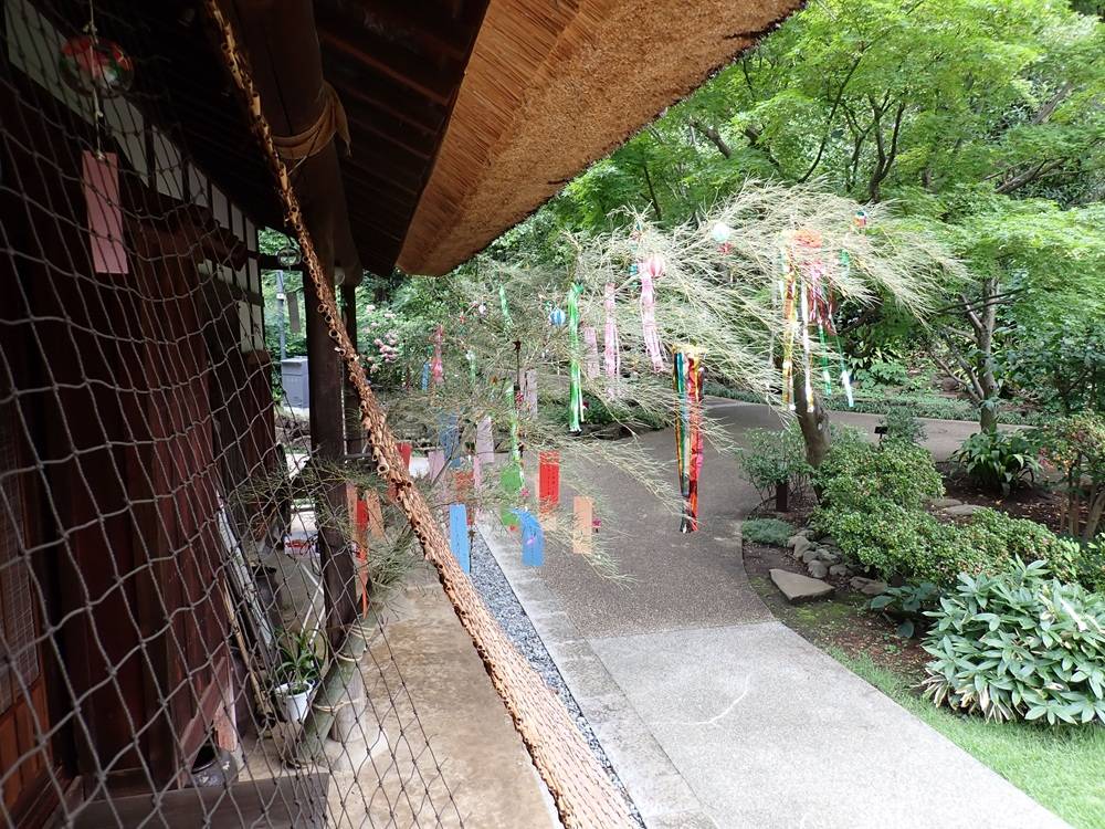 P7032480.jpg