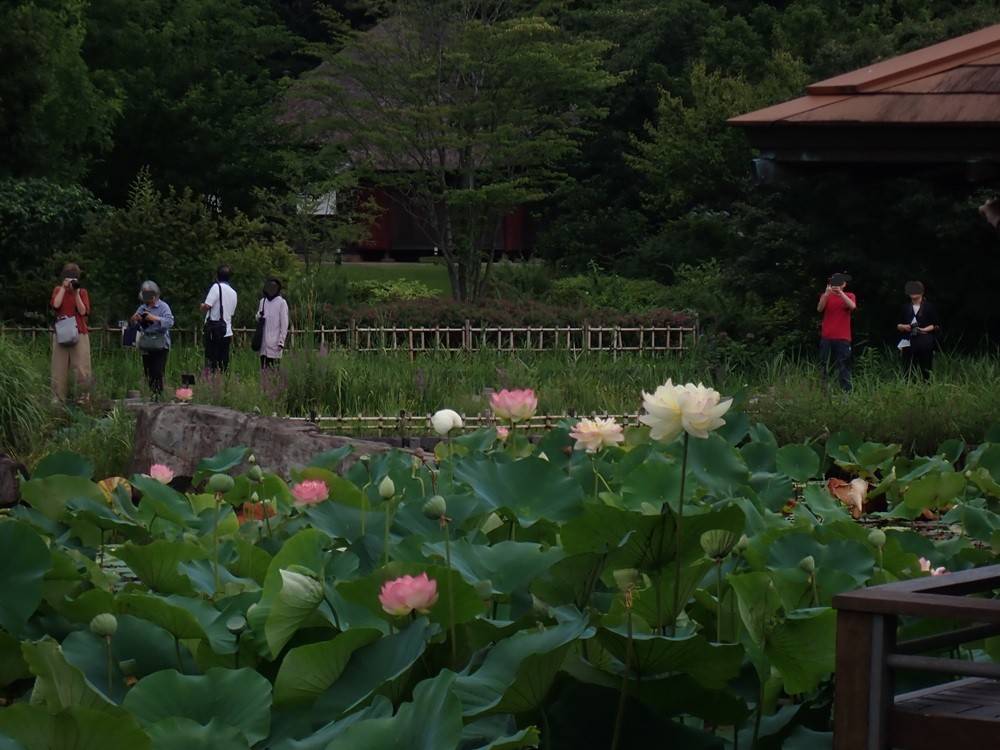 P7122526.jpg