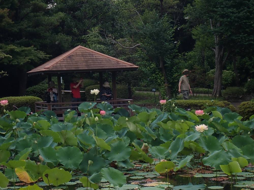 P7122529.jpg