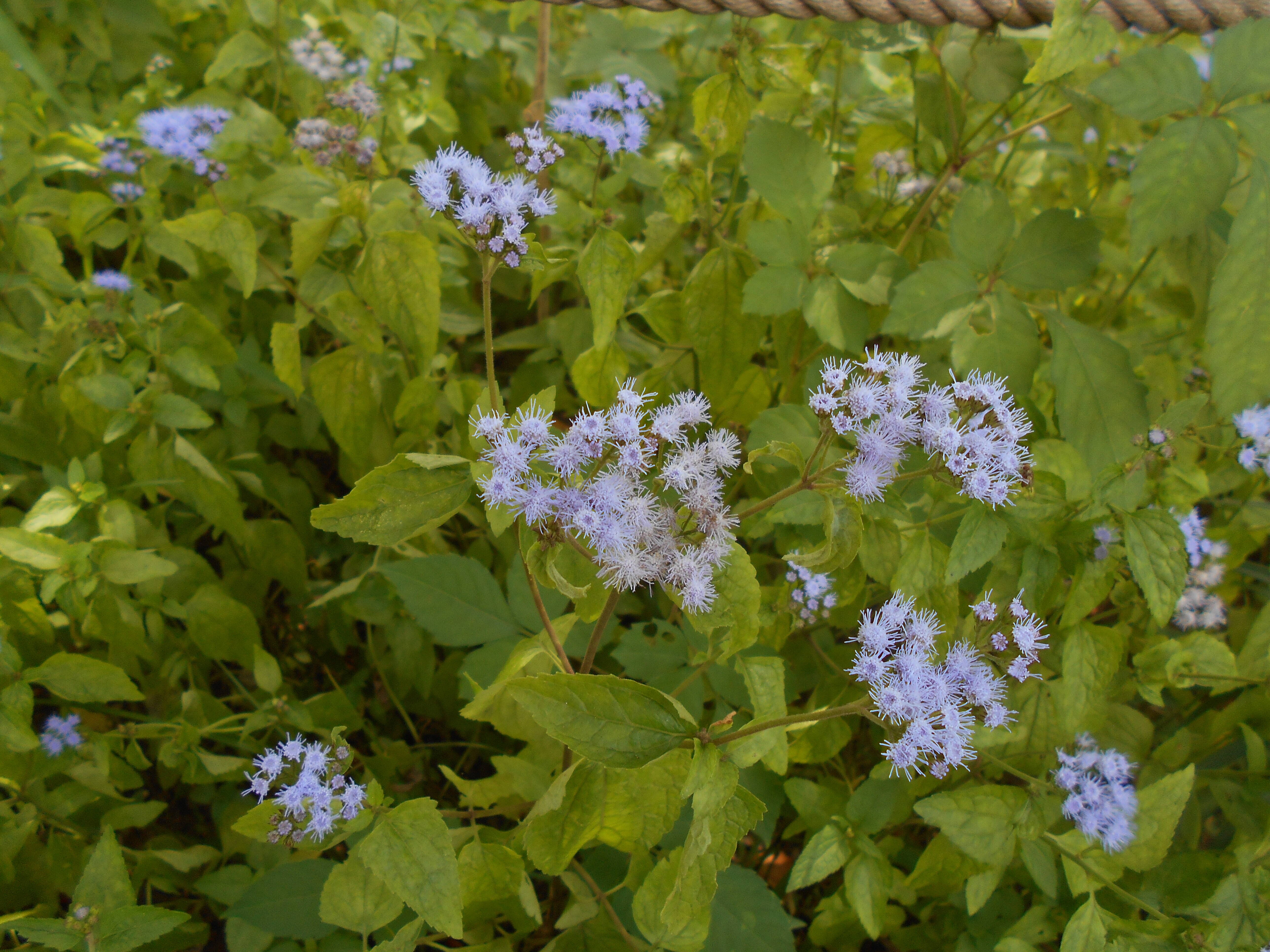DSCN2200.jpg