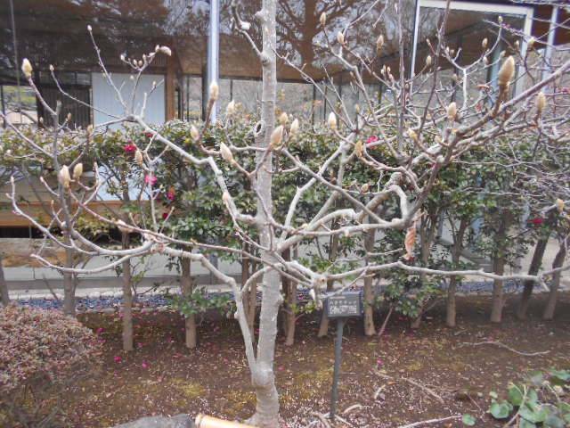 DSCN3177.jpg