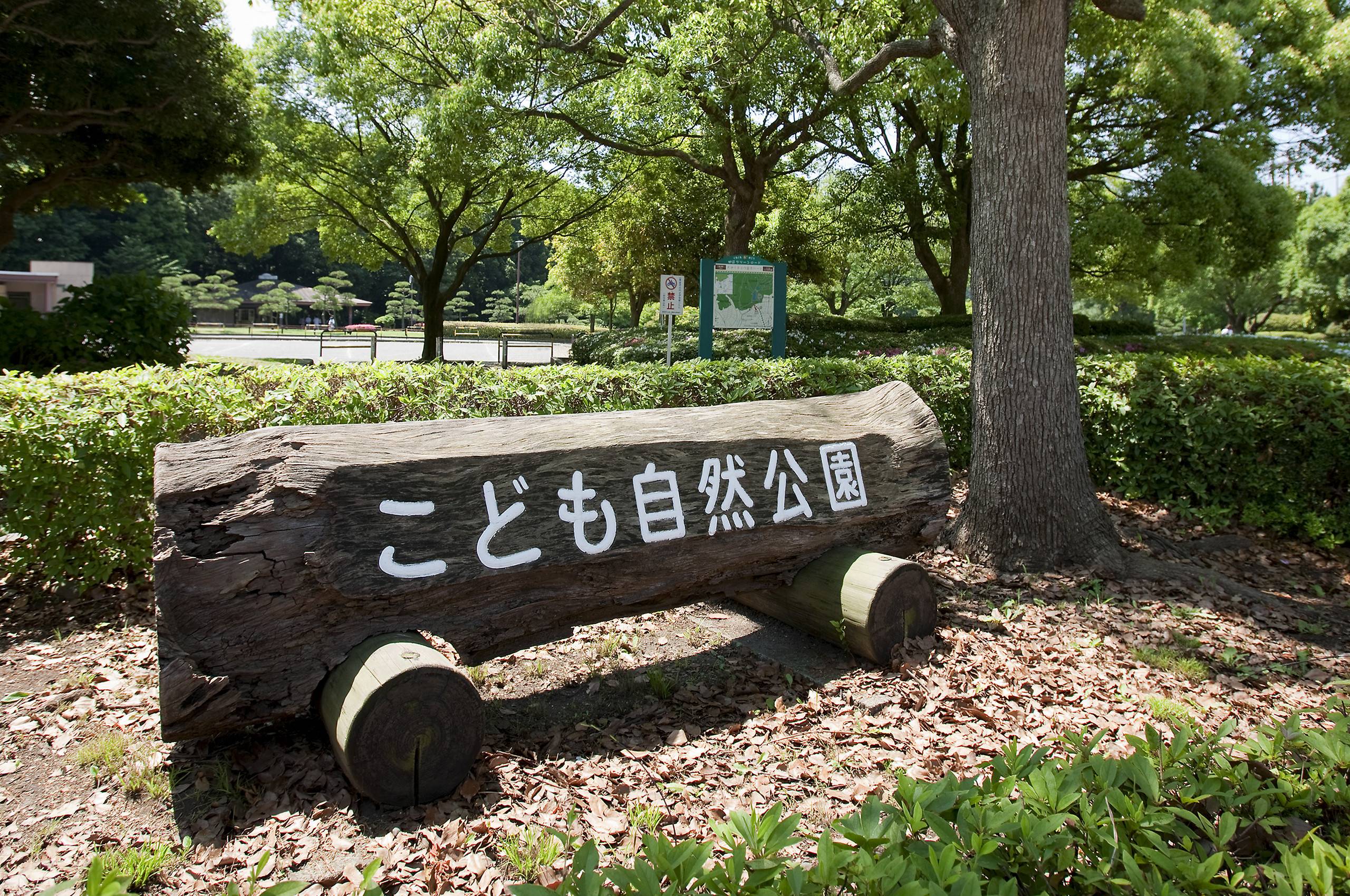 こども自然公園 バーベキュー広場・売店公式サイト｜公益財団法人 横浜市緑の協会