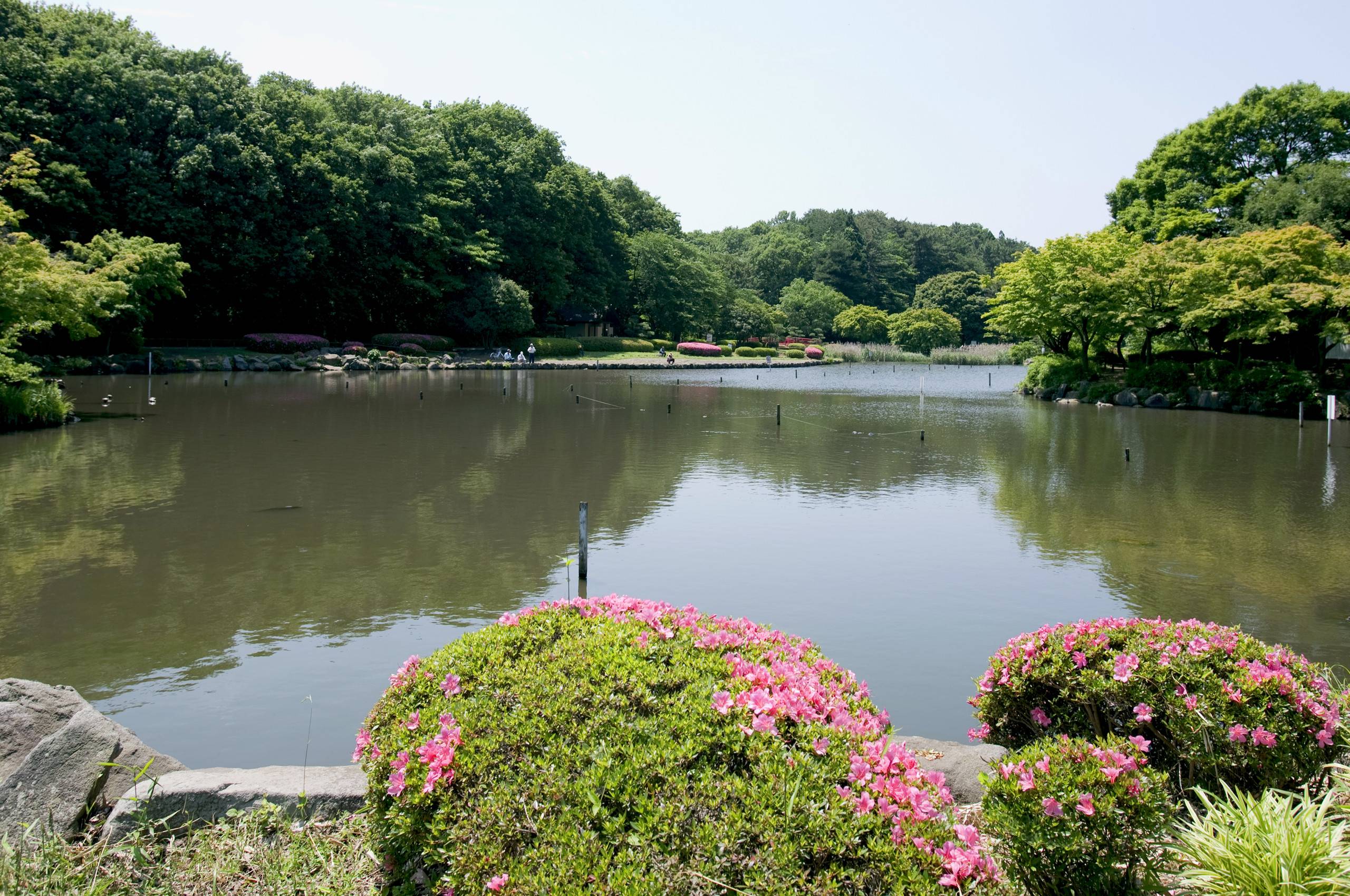 こども自然公園 バーベキュー広場・売店公式サイト｜公益財団法人 横浜市緑の協会