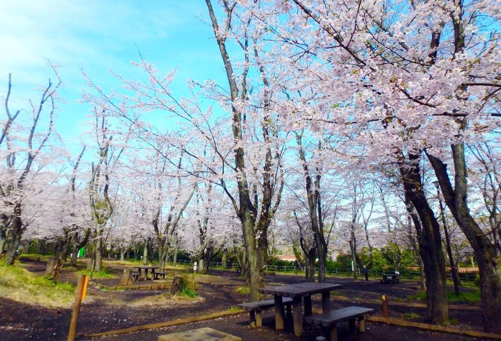 こども自然公園 バーベキュー広場・売店についての画像