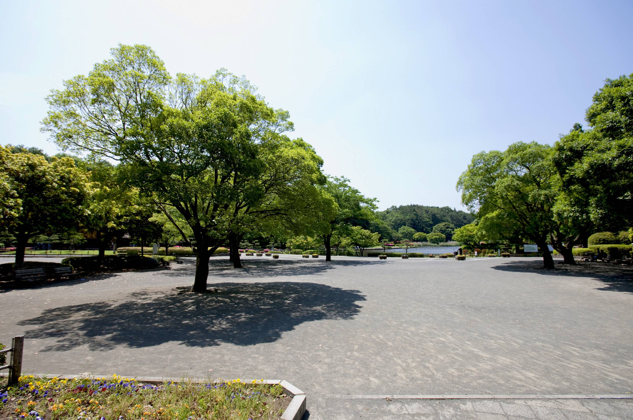 こども自然公園　バーベキュー広場・売店トップ画像3