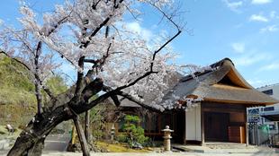 ようこそ！金沢八景権現山公園へ