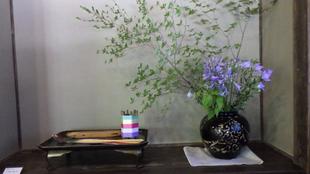 七夕のしつらえ