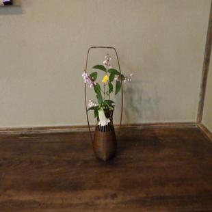 はじめての茶会を開催しました