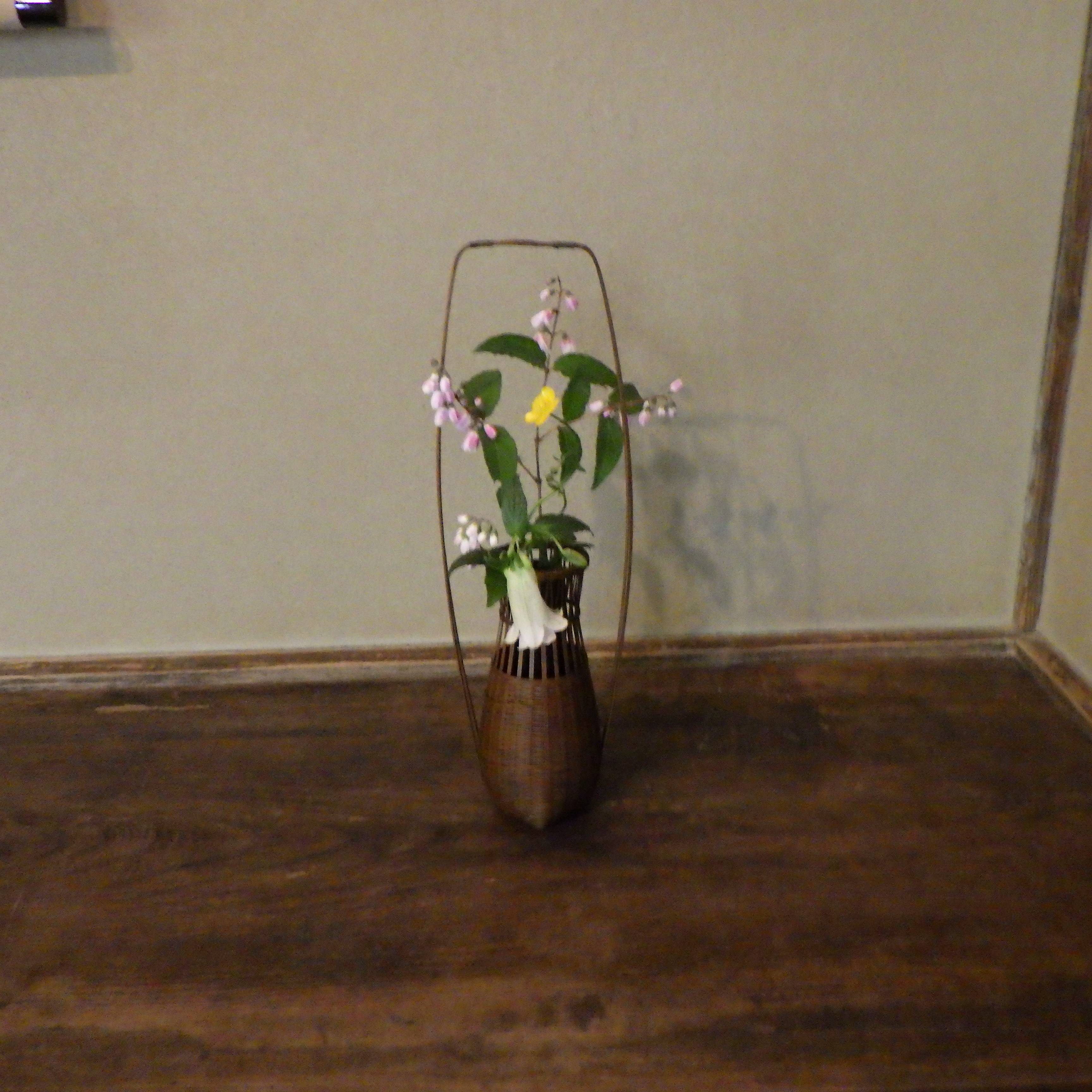 はじめての茶会を開催しましたの写真