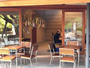 願いよ　叶え！