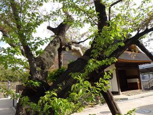 今年もありがとう！