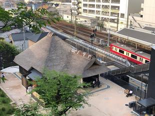 公園で見られるむし