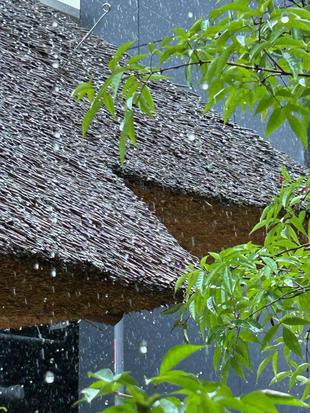 雨の日のとっておき