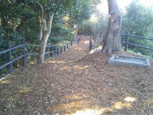 頂上を整備しました