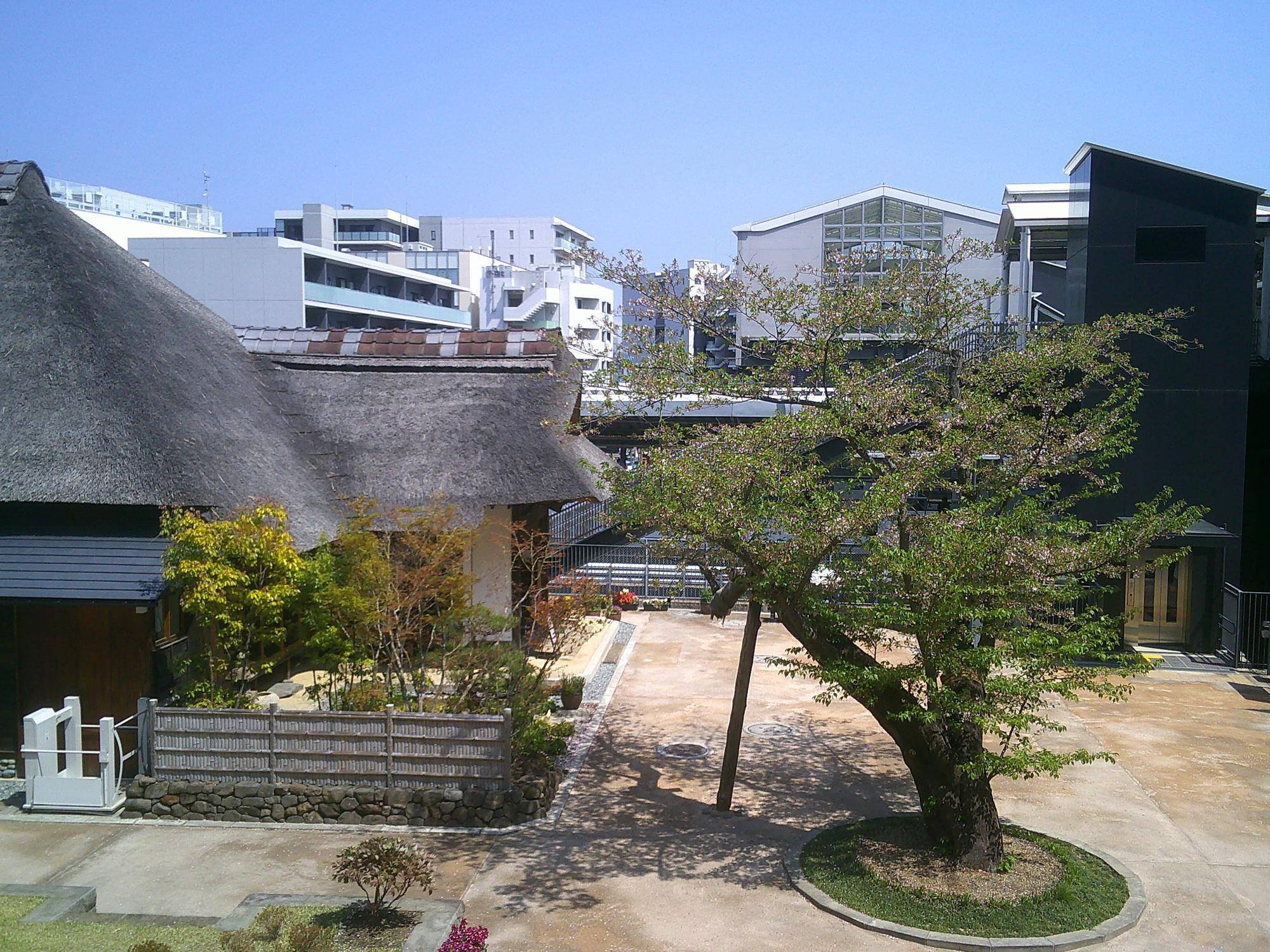 金沢八景権現山公園についての画像