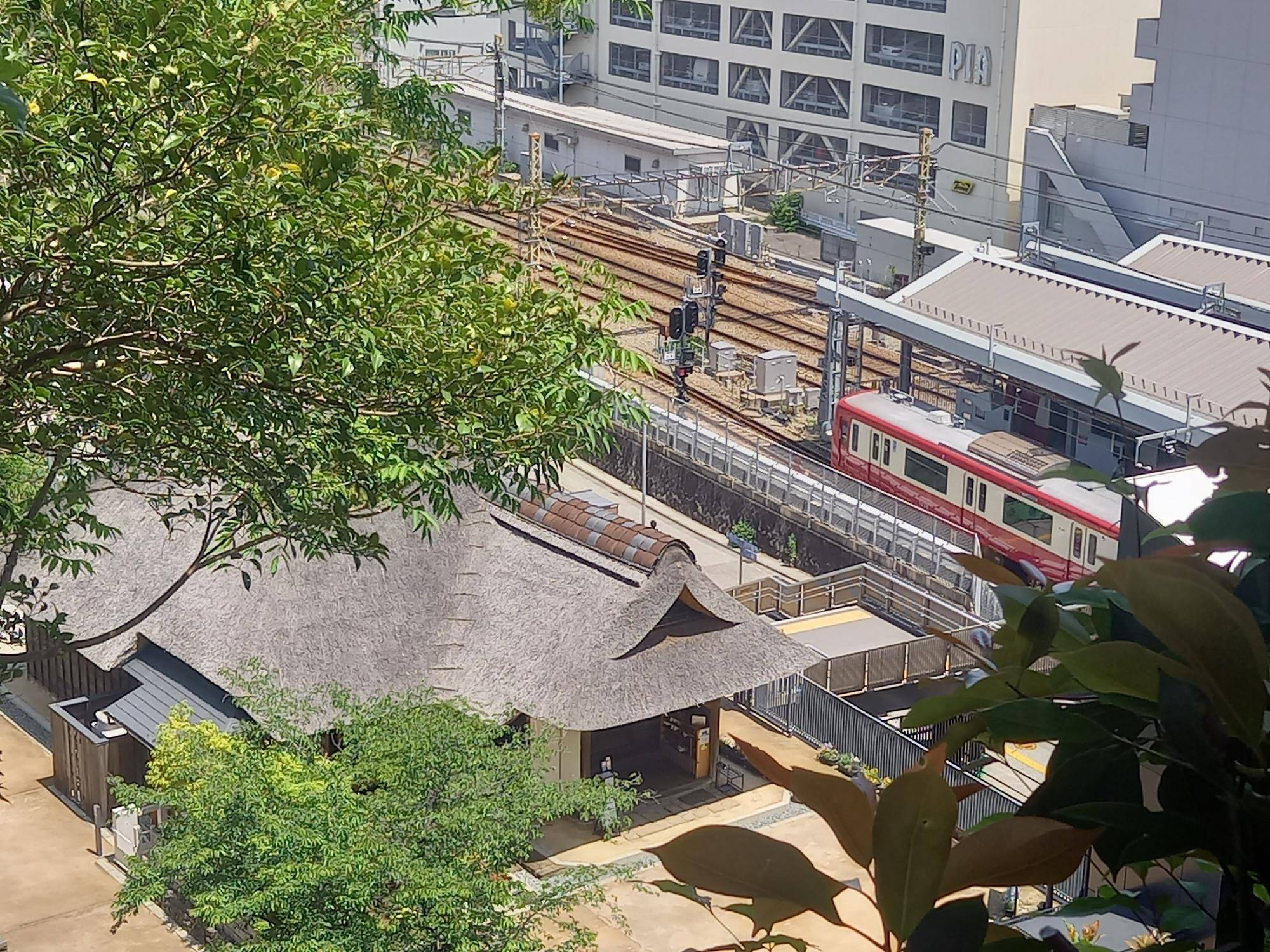 横浜金沢の観光ハブ権現山公園の写真