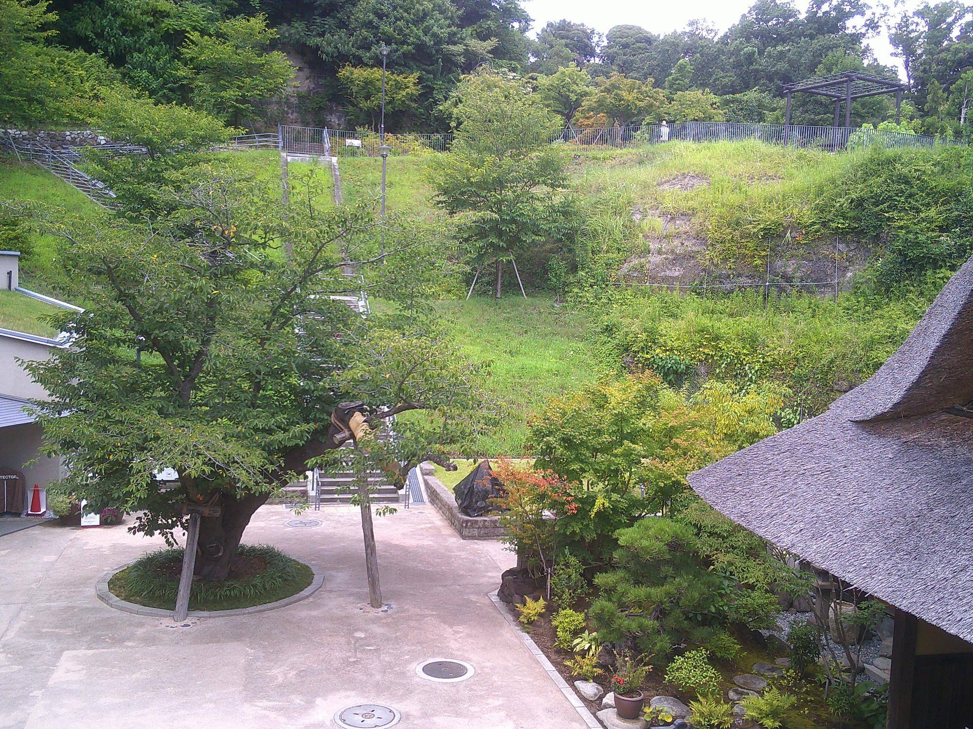 金沢八景権現山公園についての画像