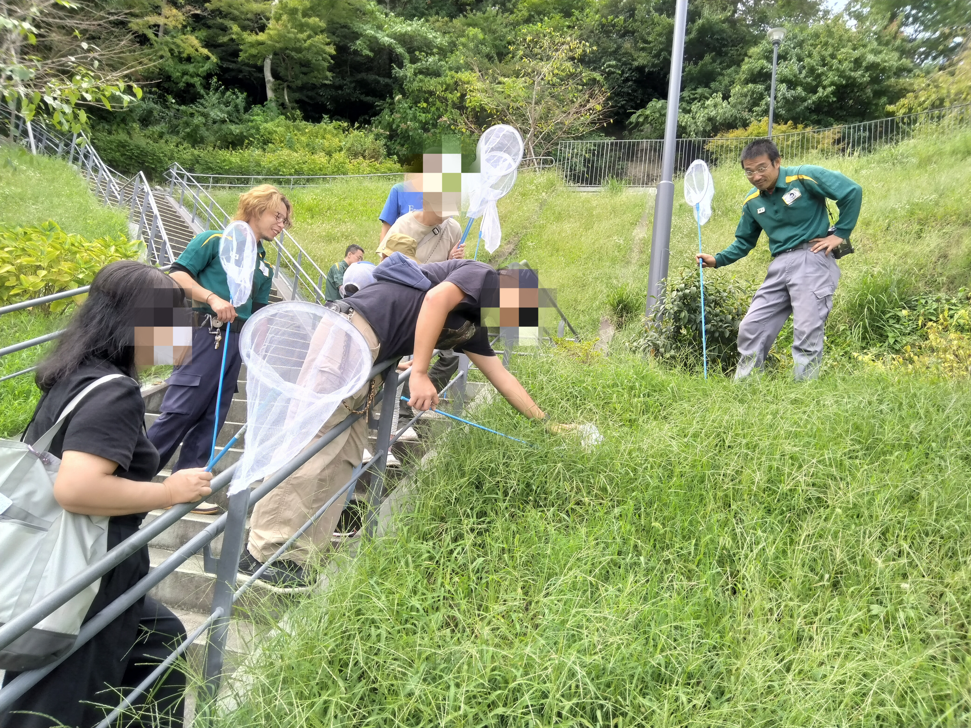 むしとしょくぶつの観察会の写真