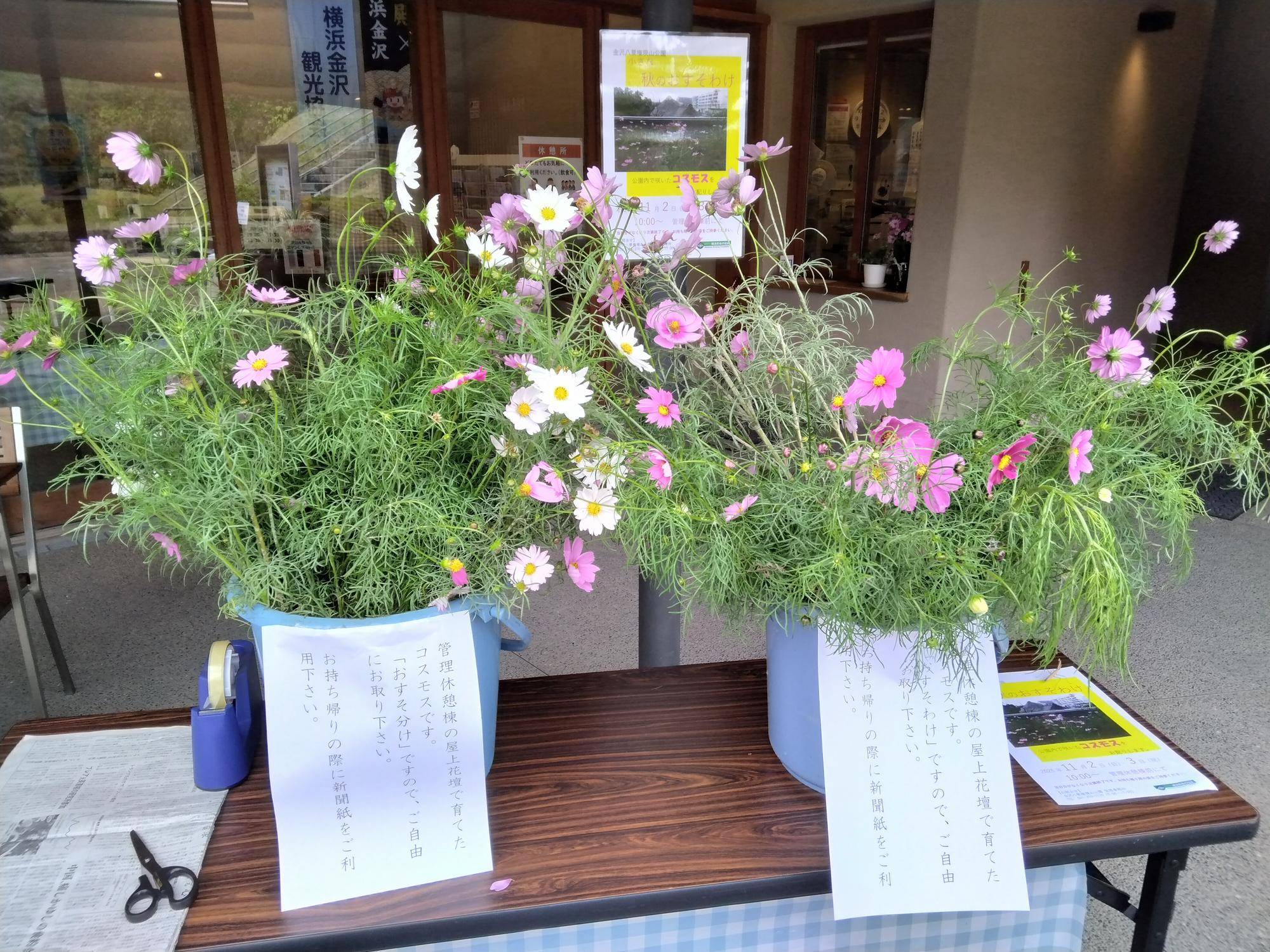 秋のおすそわけの写真