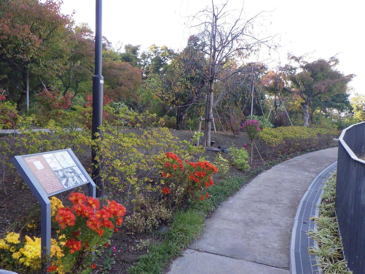 金沢八景権現山公園の公園画像