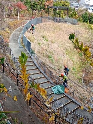 斜面地の草刈り