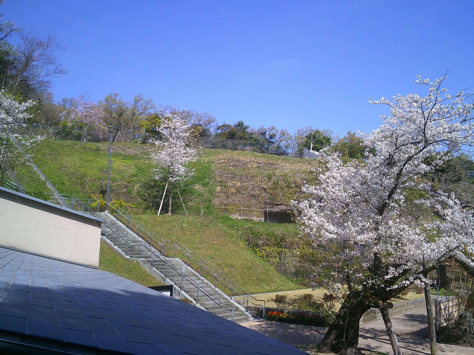 金沢八景権現山公園トップ画像2