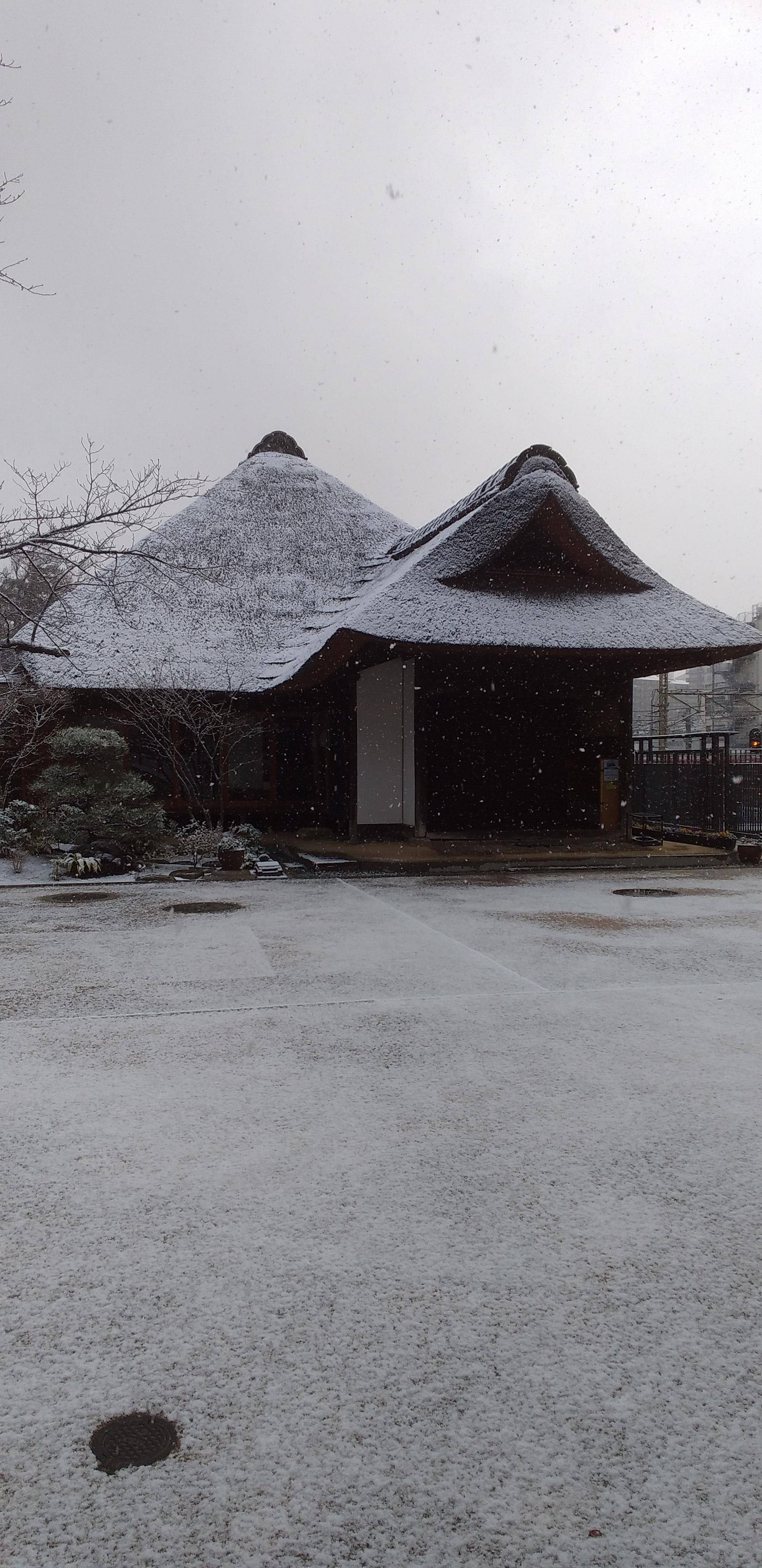権現山公園の雪景色の写真