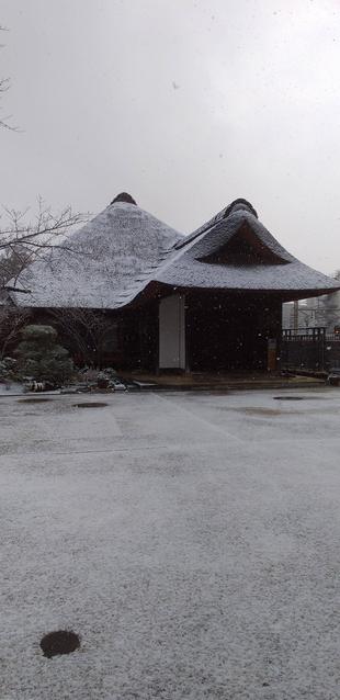 権現山公園の雪景色