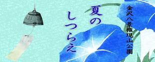 夏のしつらえ