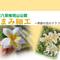 つまみ細工～季節の花のクラフト～の画像