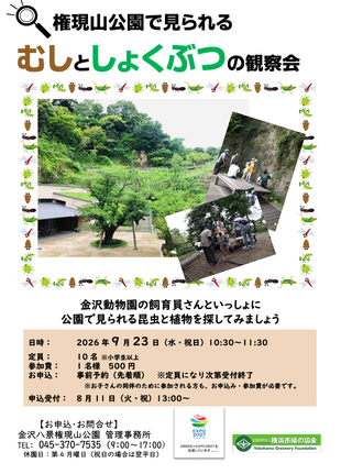 むしとしょくぶつの観察会