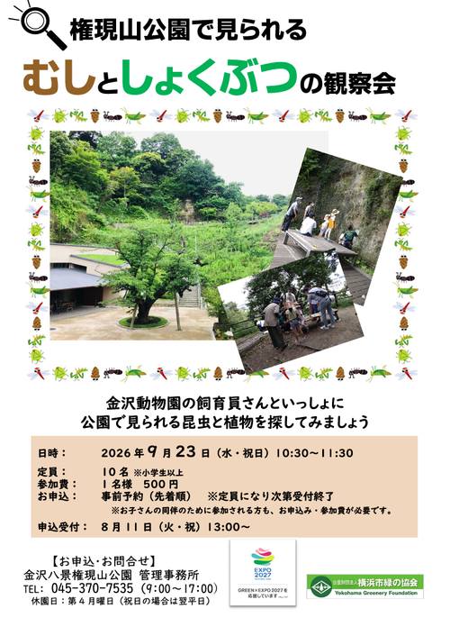 むしとしょくぶつの観察会の画像