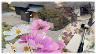 たたき染め～季節の花のカード作り～