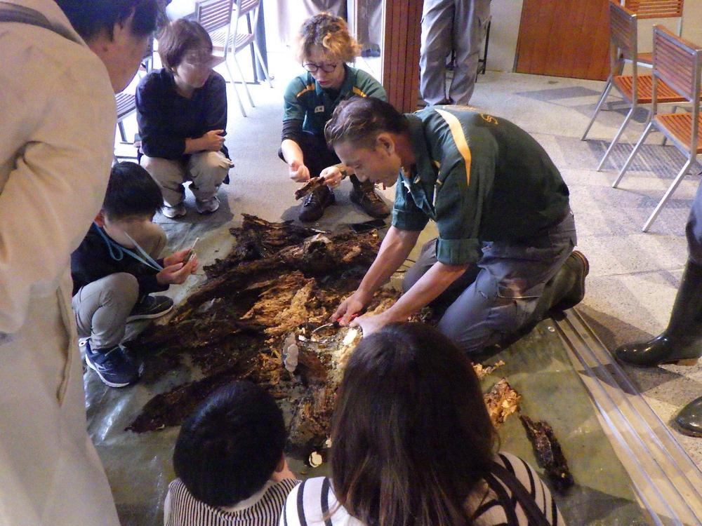 12朽木の昆虫説明.jpg