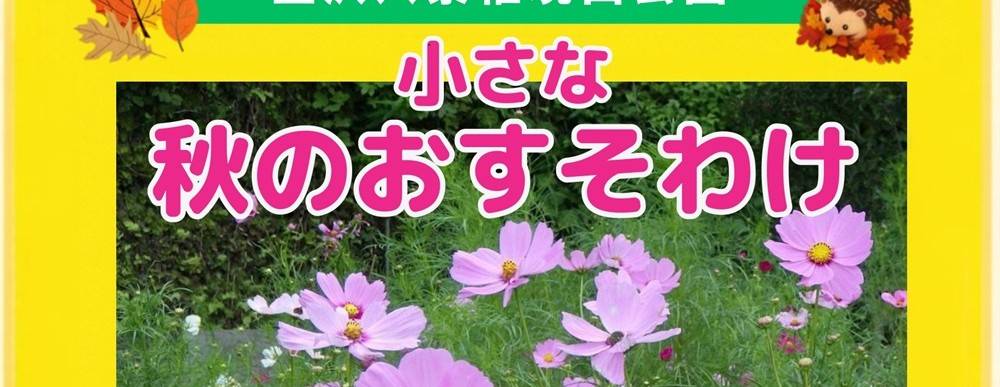 小さな秋のおすそわけの写真