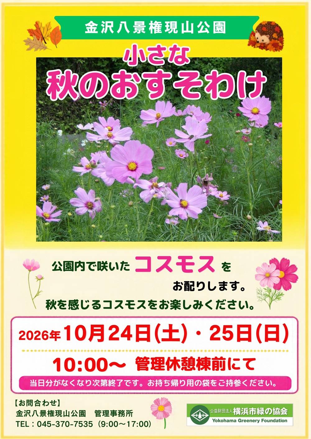コスモス配布イベントのチラシ_page-0001.jpg