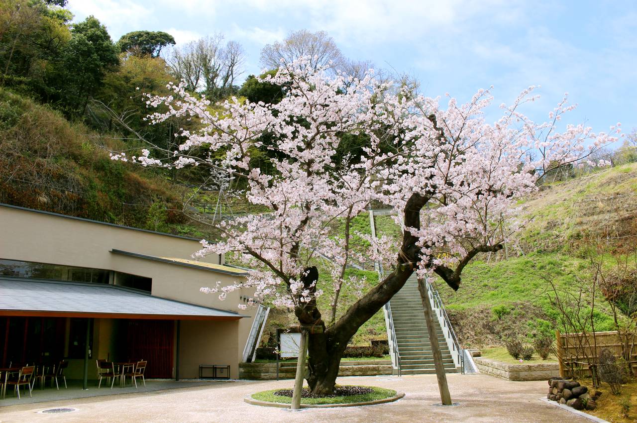 gongen_hiroba_1-2.jpg